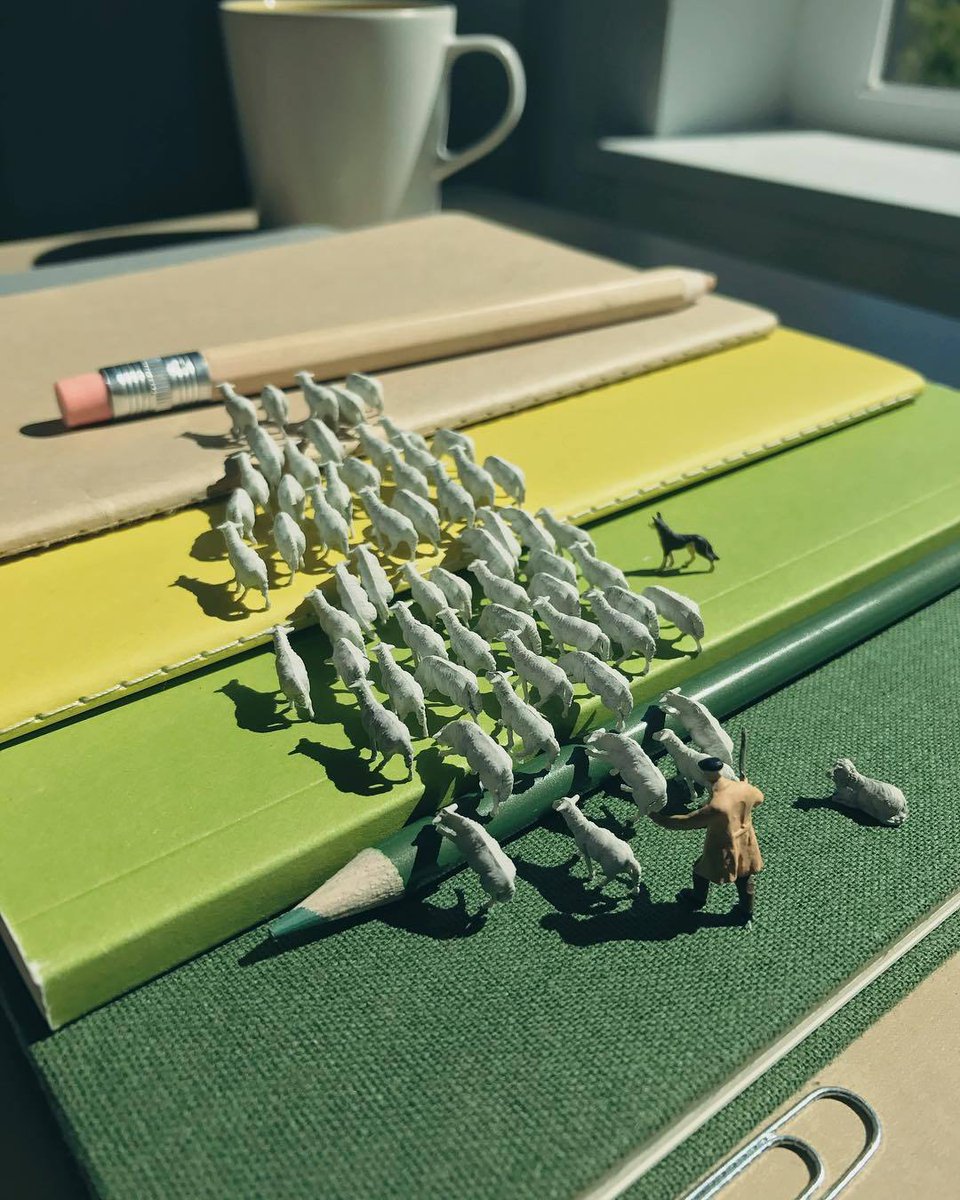 4LLE11's tweet image. 『  ʀᴇᴀᴅ ʙᴇғᴏʀᴇ ғᴏʟʟᴏᴡɪɴɢ.
ʀᴛs/ғᴀᴠs ᴀʀᴇ ᴀᴘᴘʀᴇᴄɪᴀᴛᴇᴅ. 』

─ ; 　　　　❛Hi, I'm Atha.
　　　　I suffered from a short-term
　　　memory lost.❜

↷