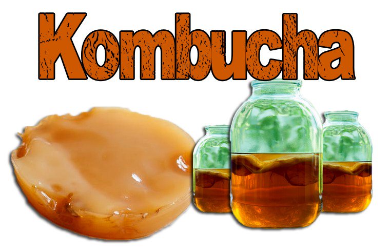 EveHow_com's tweet image. Kombucha Benefits evehow.com/kombucha-benef…