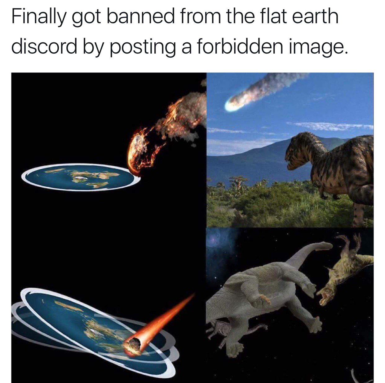 Meme Bot On Twitter Flat Earth Discord meme-bot-on-twitter-flat-earth-discord