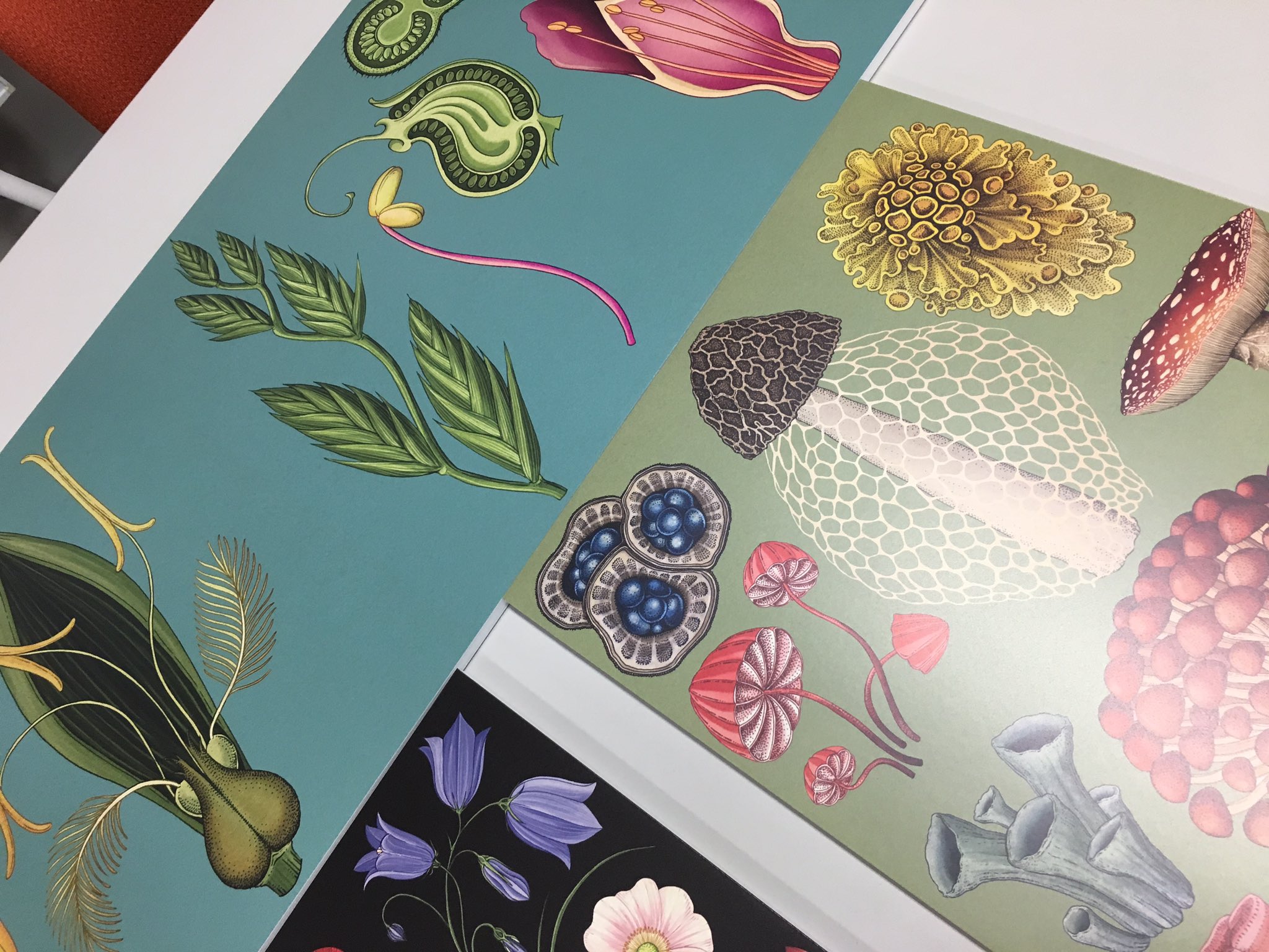 ボタニカム ようこそ、植物の博物館へ ボタニカム ようこそ、植物の博物館へ - メルカリ