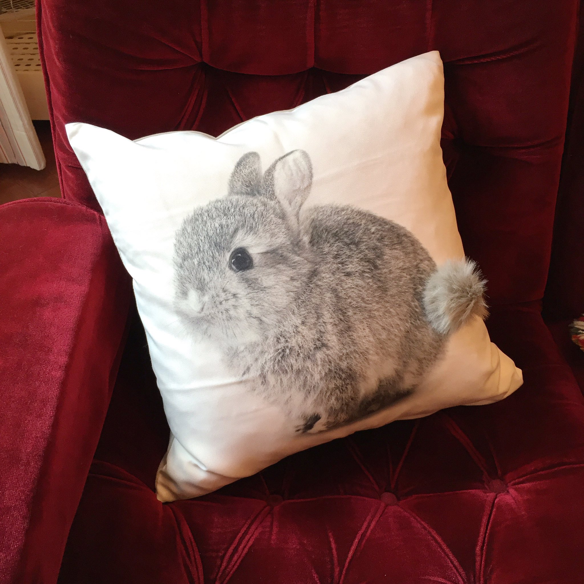 画像 ニトリで見つけたうさぎのクッションカバー見て しっぽ T Co Czfjffjwgk Matomehub まとめハブ 画像 ニトリで見つけたうさぎのクッションカバー見て しっぽ T Co Czfjffjwgk Matomehub まとめハブ