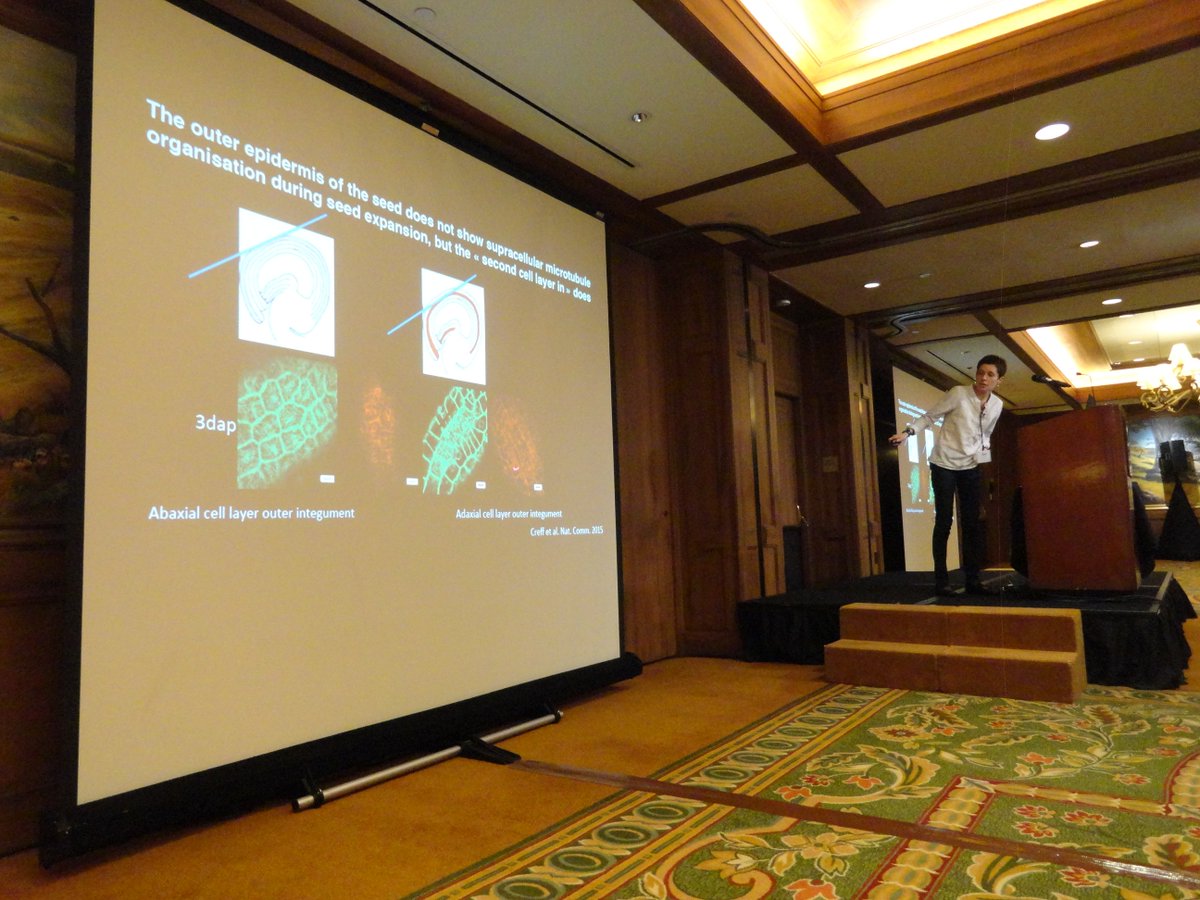 SeedWorld_US's tweet photo. First keynote speech at #ISSS_2017: Gwyneth Ingram's research on how the inside of a seed functions. A LOT going on in such a tiny organism. https://t.co/QCDG5mhPNH