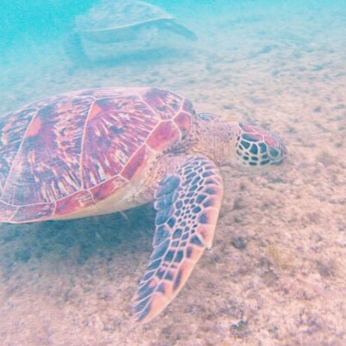 doabunk's tweet photo. A few pictures of today's activities. I bloody love travel! https://t.co/Pq3L2c6SYW