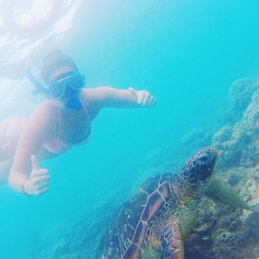 doabunk's tweet photo. A few pictures of today's activities. I bloody love travel! https://t.co/Pq3L2c6SYW