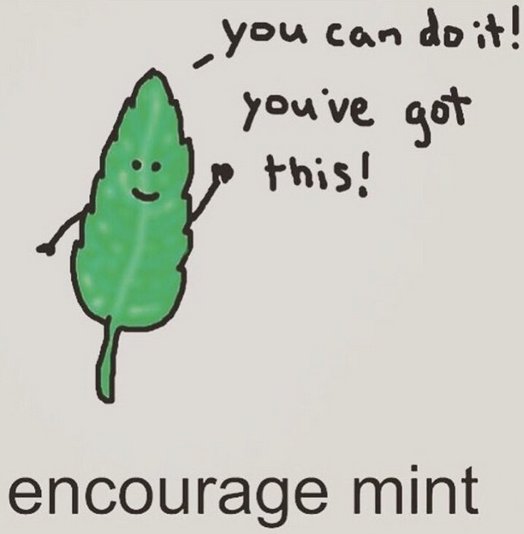 CateringSuzette's tweet photo. Encourage - Mint for Monday morning! We are lucky to have you as our friends! #monday #positivity #wecookwithlove https://t.co/CqDkTfM8BE