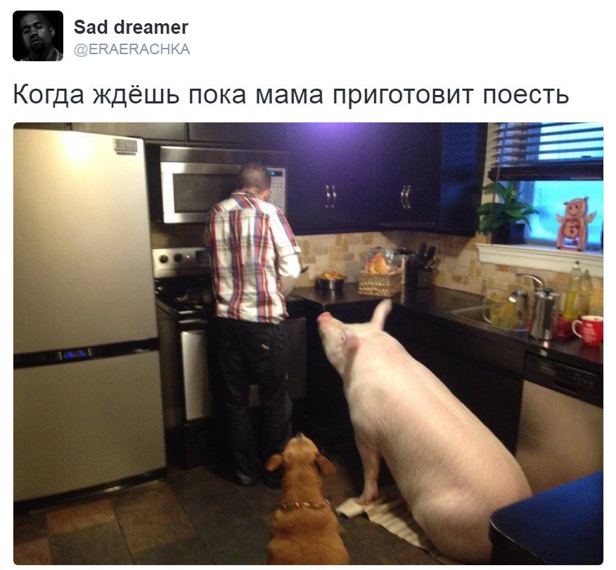 Ахахахаха ахахахаха