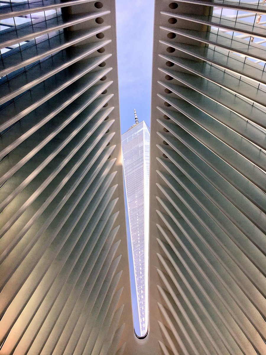 As intended by Calatrava, the #Oculus is open on #911day, sun will move across its axis at precise time second tower collapsed.