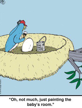 JoeCrace's tweet photo. 🎶 "Mr. Bluebird on my shoulder..."🎶 #funny #comics #bluebird https://t.co/8fbWlAluDK