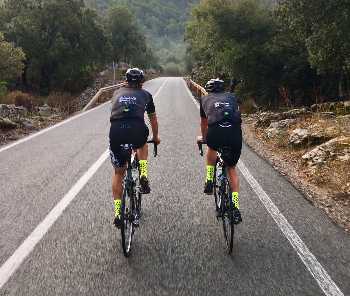 Club Peloton tweet media