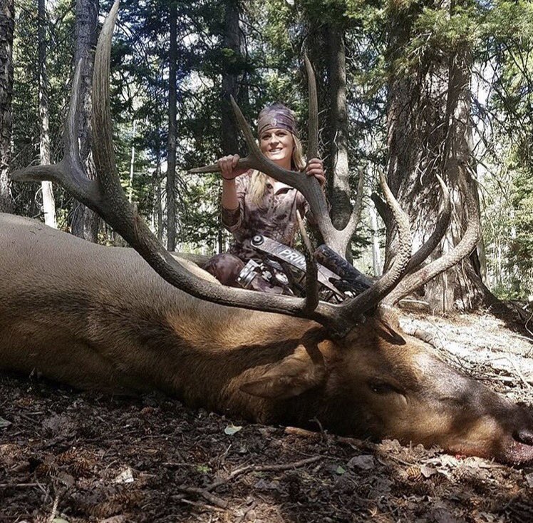 #PrimePro Lindsay Christensen with a great public lands bull! #PrimeArchery