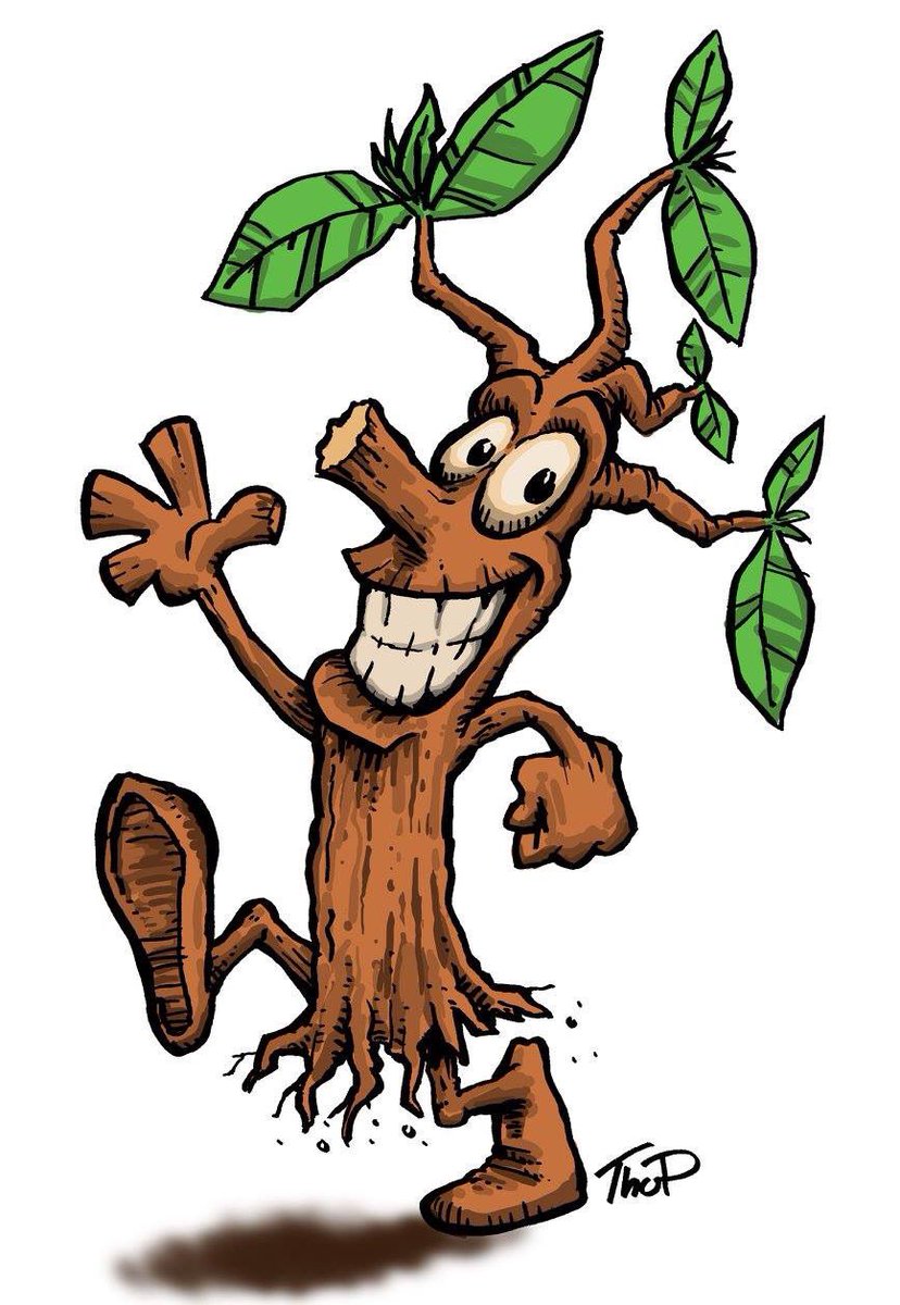 #cartoontree #cartoon #funnydrawing #thopart #thopillustrations #cartoons #ilovetrees #treehugger #tree #youngtree #cartooncharacter