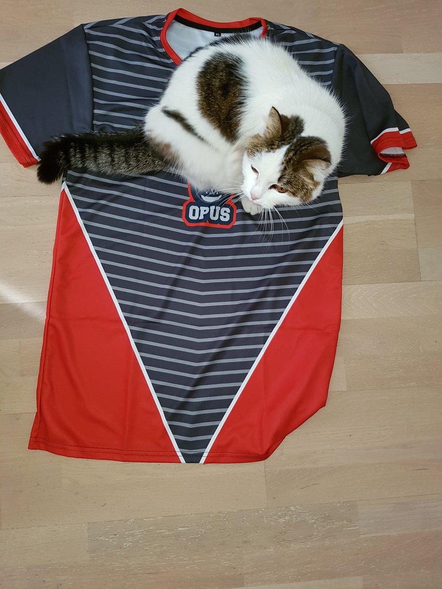 officialibbi's tweet photo. @OpusGG ❤❤😙😚 https://t.co/EzQ2AO1xe3