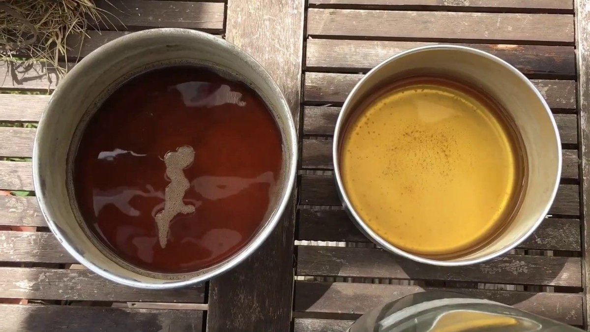 House of Cultural Curiosity tweet media