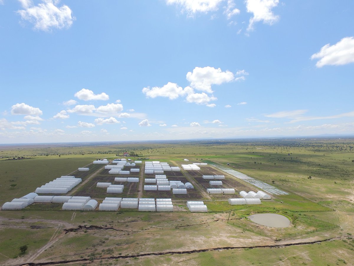 360Reality's tweet image. Do you need farming professional photography? To experience it, visit  360virtualreality.co.ke