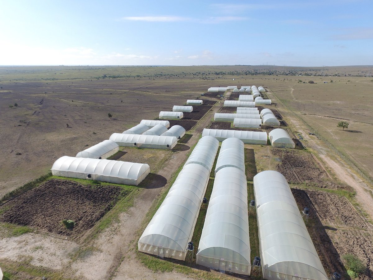 360Reality's tweet image. Do you need farming professional photography? To experience it, visit  360virtualreality.co.ke