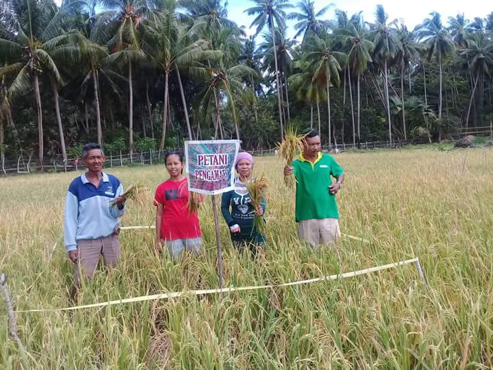 FKTHLPOPT_NUS's tweet photo. Koptan binaan THL TB POPT SULSEL @jokowi @Amran_Sulaiman1 @asmanabnur2016 @Edhy_Prabowo @akang_hero @onos_urono #aksithlpopt https://t.co/Sb0KeyV8nQ