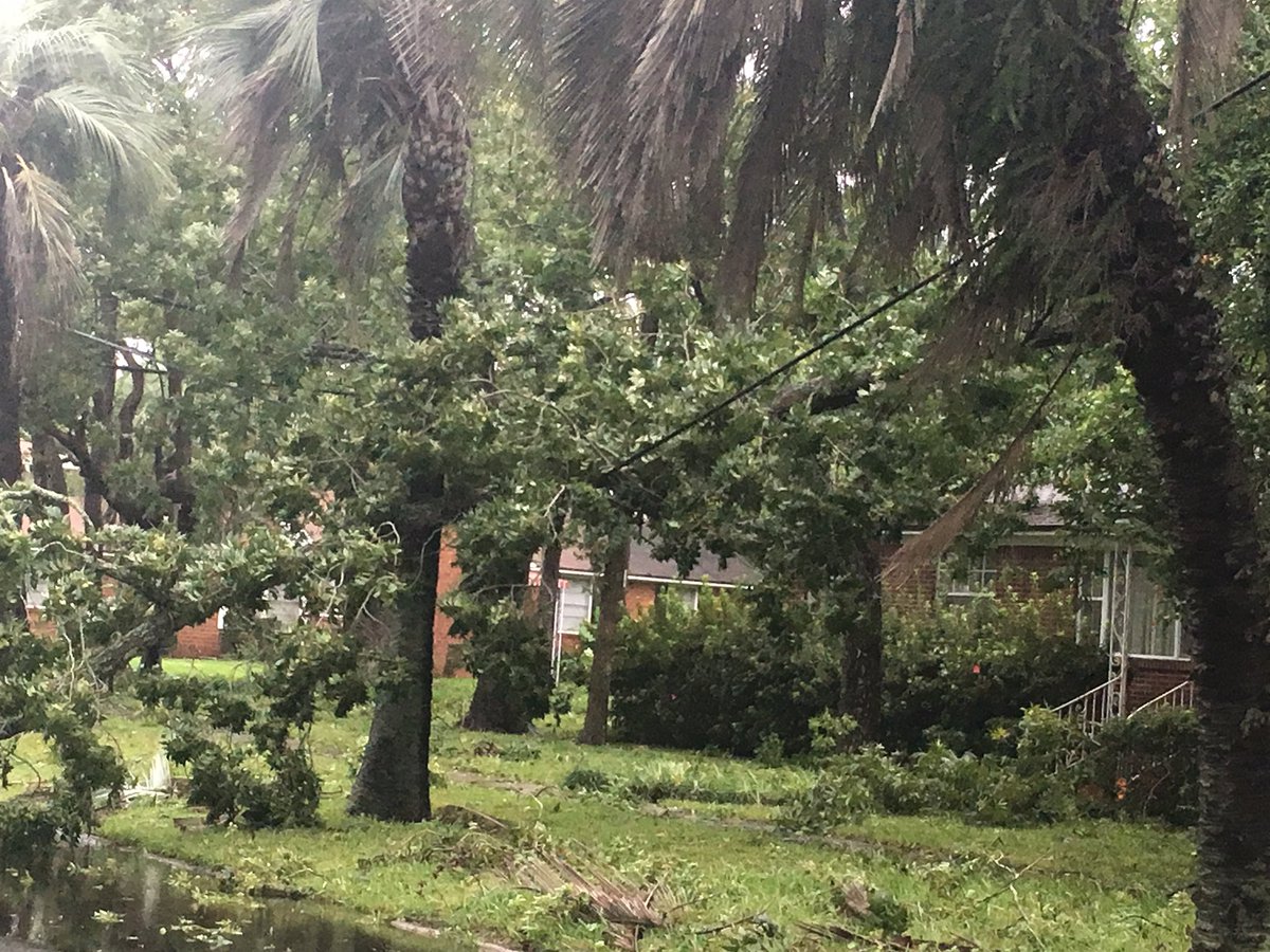 JeffKn0x's tweet photo. @NewsfromJEA @jea power line nearly down by tree on Ingleside and trask in Murray hill. #IrmaHurricane2017 https://t.co/r1xOnC757g