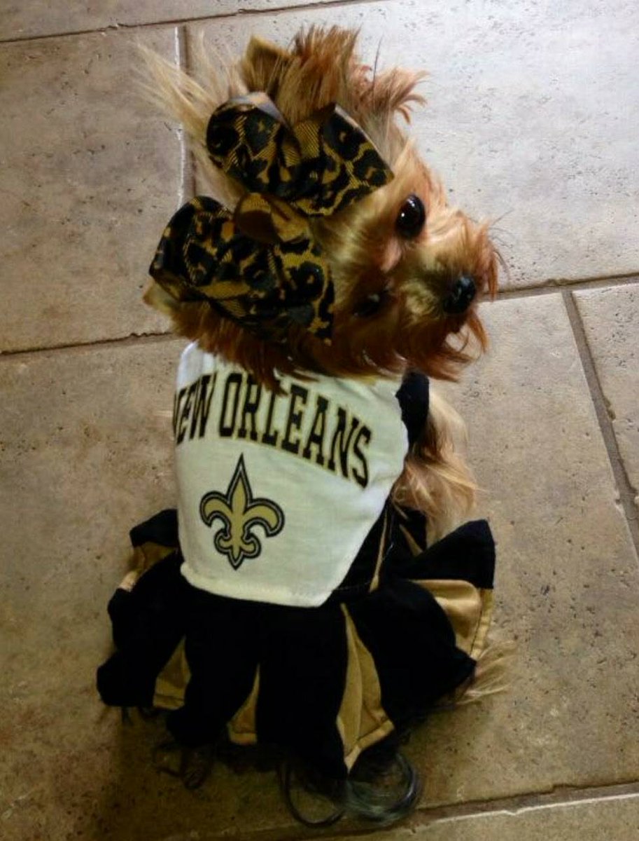 TasticFur's tweet photo. $25 team jerseys &amp;shirts for ur pet! Email furtasticbaskets@gmail.com or message to get urs! #dogs #cats #saints #neworleans #fan #football https://t.co/CEiLOFacbD