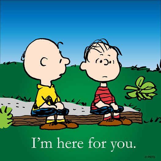 WHMcIntyre's tweet image. Four beautiful words .