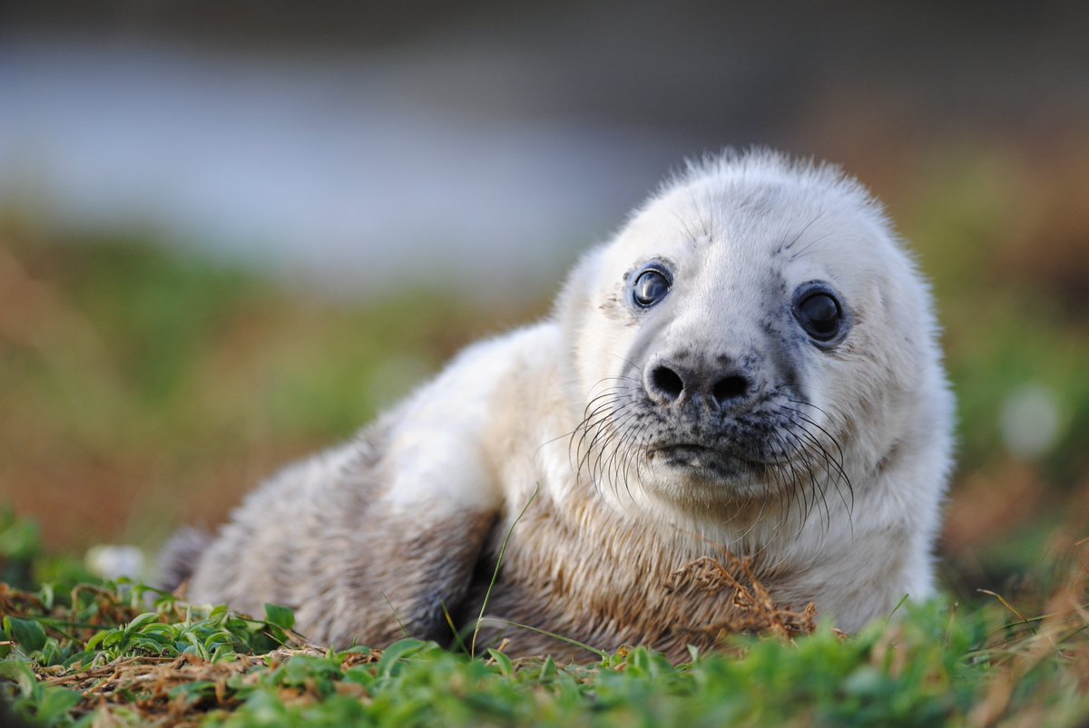 thefarnes tweet picture