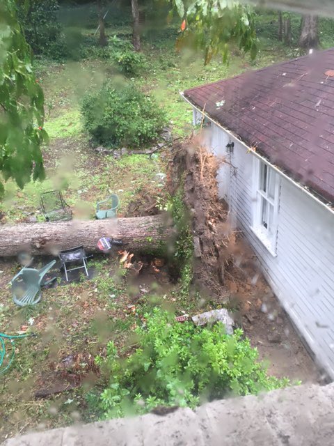 J M Stewart On Twitter Downed Tree In Druid Hills Roughly 60
