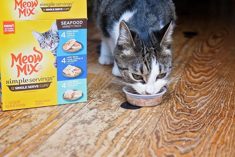 RandomRReviews's tweet image. Try @MeowMix Simple Servings from Walmart for pre-portioned &amp;amp; delicious wet food without the mess or leftovers! bit.ly/2gJUQdA #AD