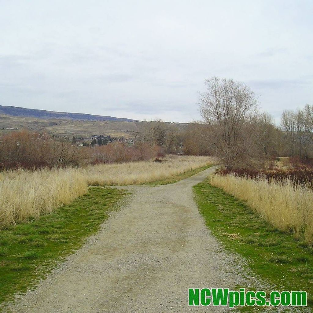 ncwpics's tweet photo. The #HoranNaturalArea along the #AppleCapitalLoopTrail and the #ColumbiaRiver in #Wenatchee. #NorthCentralWashingt… https://t.co/dURVgFHYSK https://t.co/mQRX11Ojli
