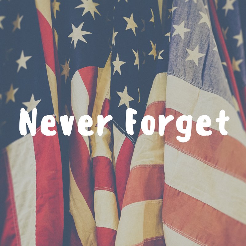 BeasleyLegacy's tweet image. Let us #neverforget the first responders who made the ultimate sacrifice and the innocent lives taken on #September11th, 16 years ago today.