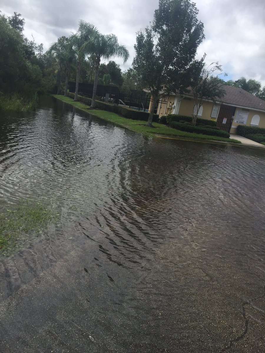 Kiwiz's tweet image. Aftermath