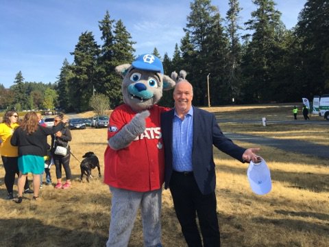 Harvey Harbour Cat tweet media