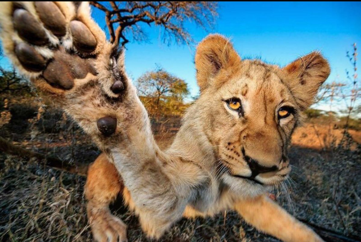 Luke 8:46 But Jesus said, “Someone deliberately touched me, for I felt healing power go out from me.”

#Touch Him with a #prayer #today