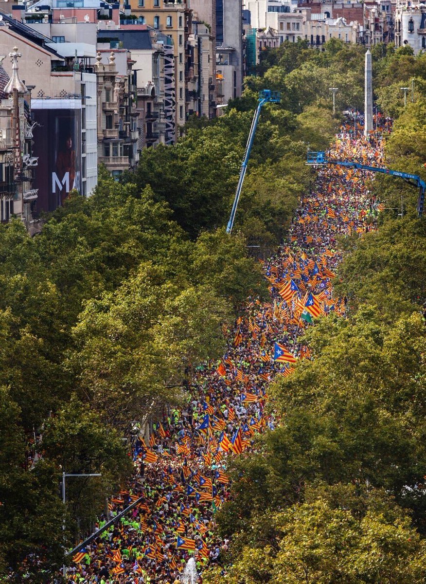 AlbanoDante76's tweet photo. Puedes estar de acuerdo o no con los miles que se manifiestan en la #Diada2017... pero lo que está claro es que HAY QUE ESCUCHARLOS. #11STV3 https://t.co/iFAaUVNSXy