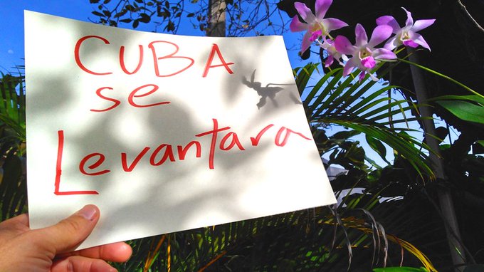 Ver imagen en Twitter