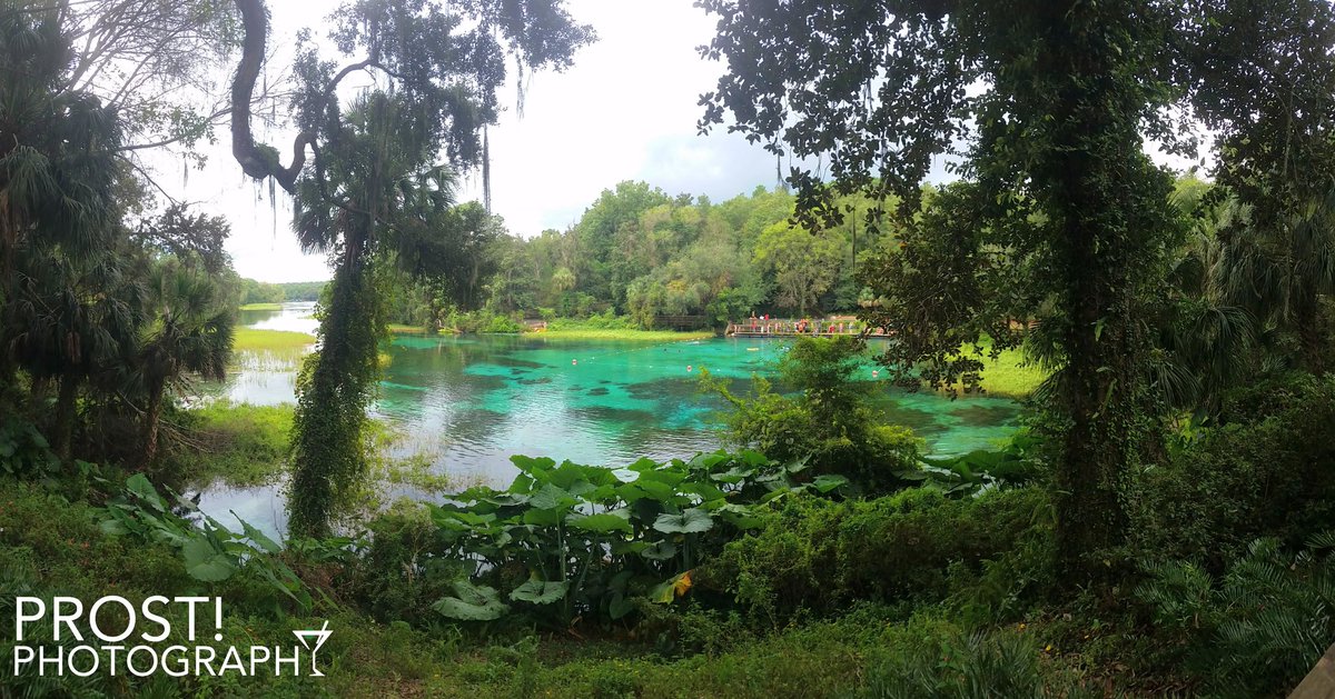 PROSTphoto's tweet photo. No storm can steal our natural beauty #FLstrong #hurricaneimra #lovefl #springs https://t.co/rklJ0tVcEF