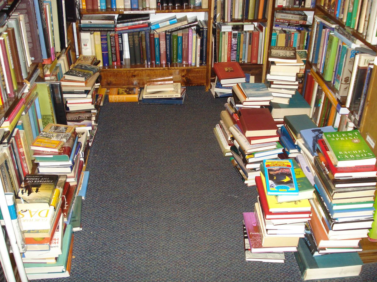 IBN_Editore's tweet photo. E dopo le #ferie vi riportiamo alcuni #scatti delle #librerie di #Boston  #Providence e #BarHarbor @IBN_Editore @Aviolibri https://t.co/90Ebvvrgo3