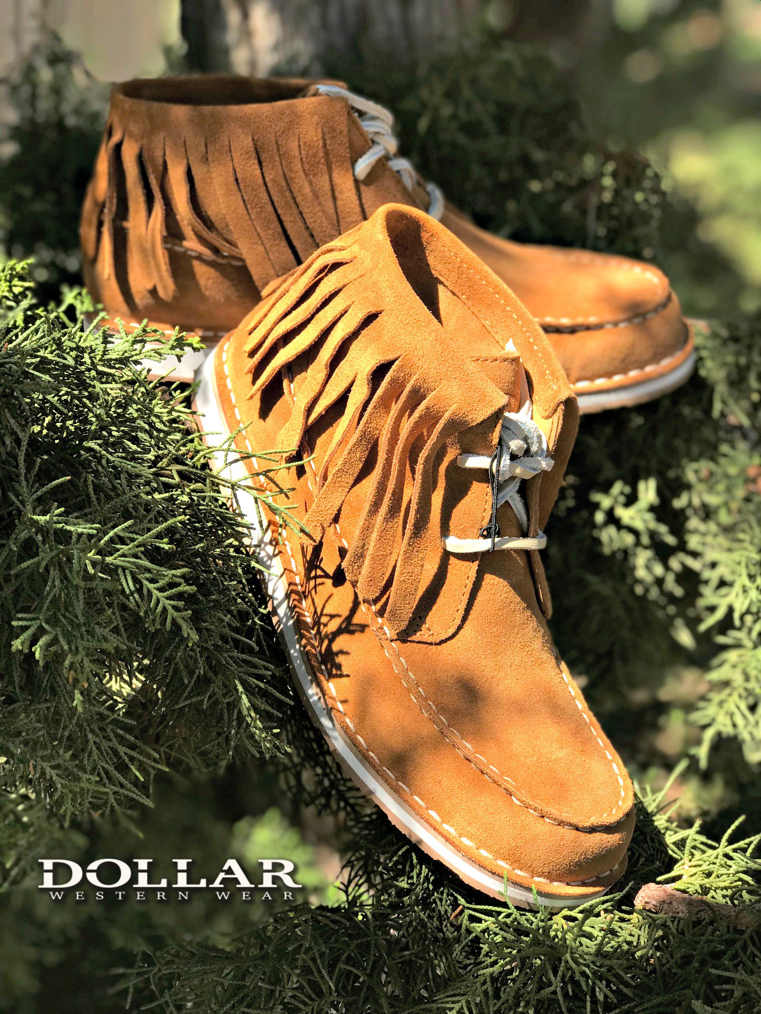 Dollar Western Wear DollarWW X