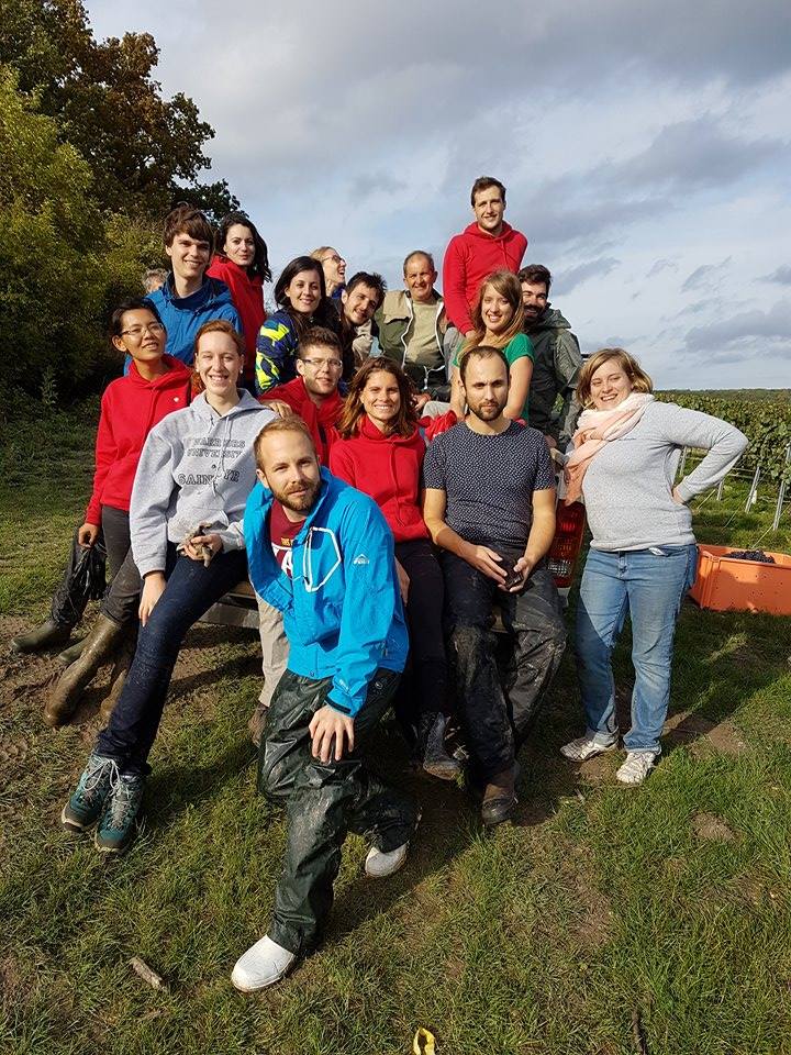 MiasarahBlandon's tweet photo. Retour d'un WE humanitaire chargé avec #handivoile samedi &amp; les #vendanges2017 du @RACParisOuest au Domaine Heucq à Cuisles #champagne 🍇🍾 https://t.co/CFZKyVwnOF