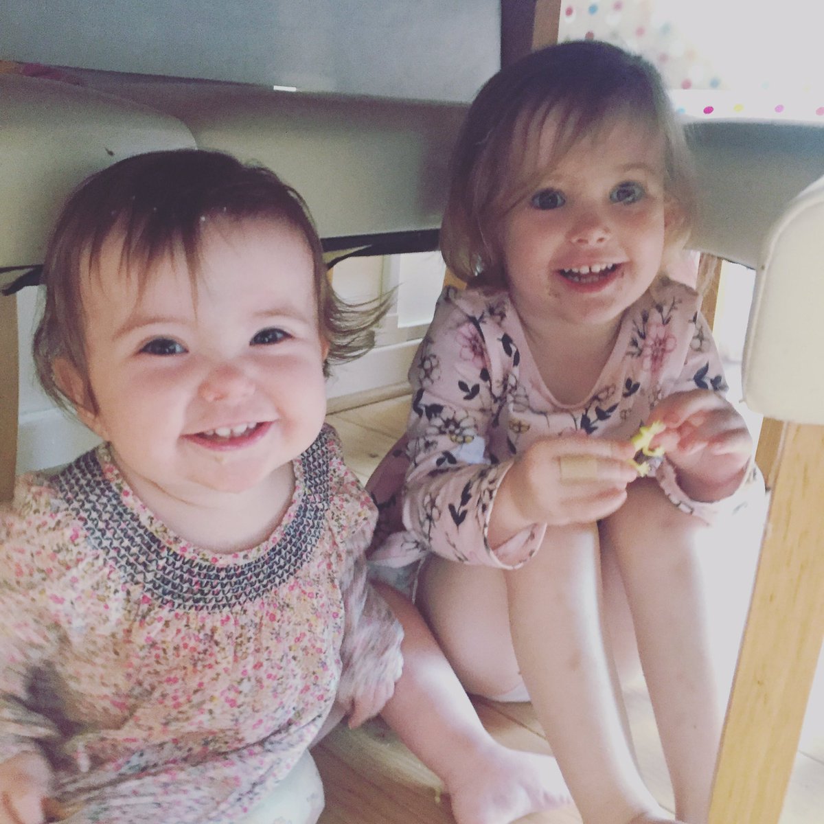 LifeLittleToes's tweet image. These two! 💕 always getting into mischief together and under the table is their new favourite hiding place 😂#doubletrouble