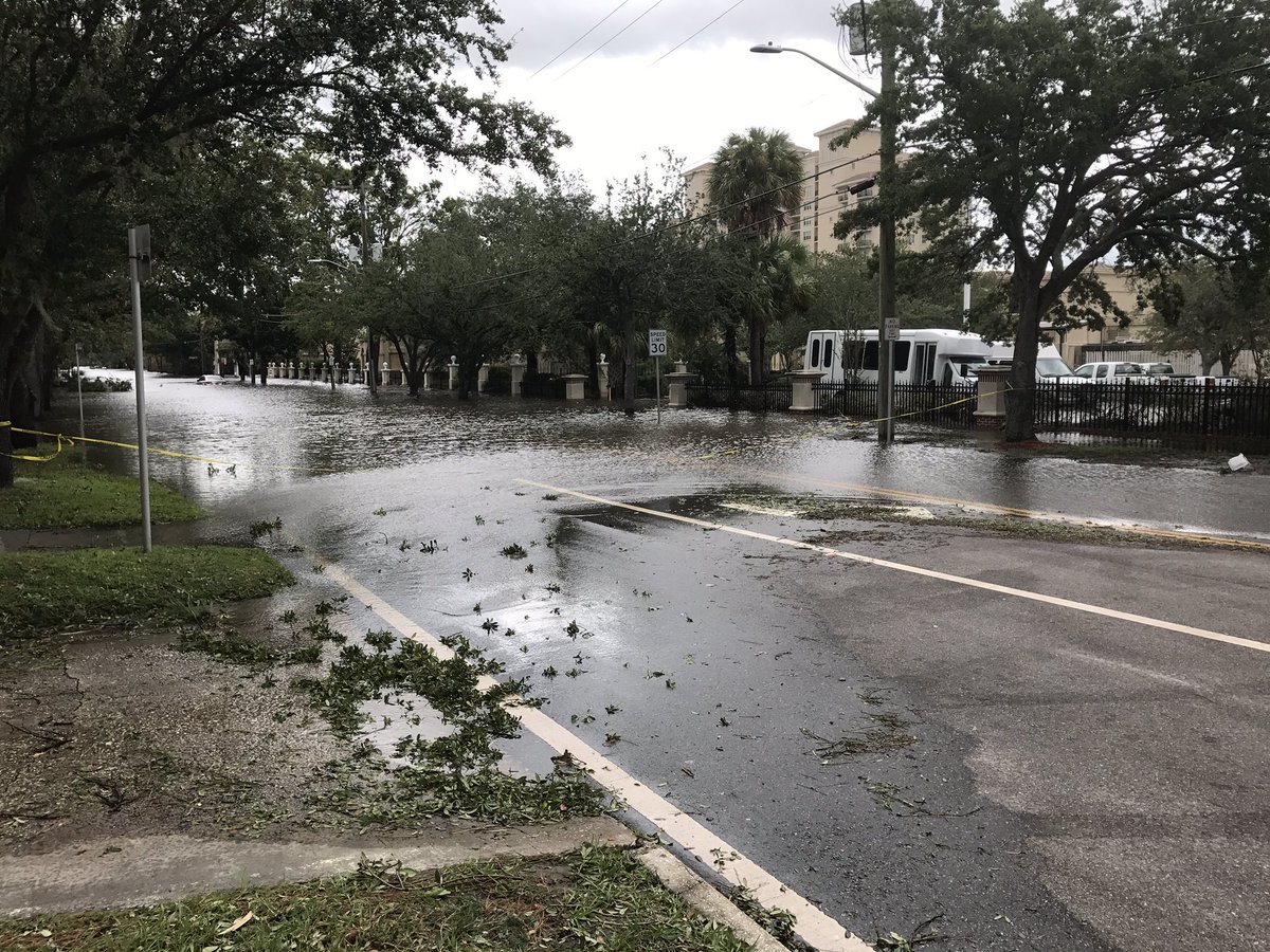 Riverside Ave near Barrs St <a href="/jaxdotcom/">Florida Times-Union</a>