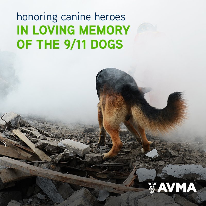AVMAvets's tweet photo. #Neverforget https://t.co/jqM6uFouWb