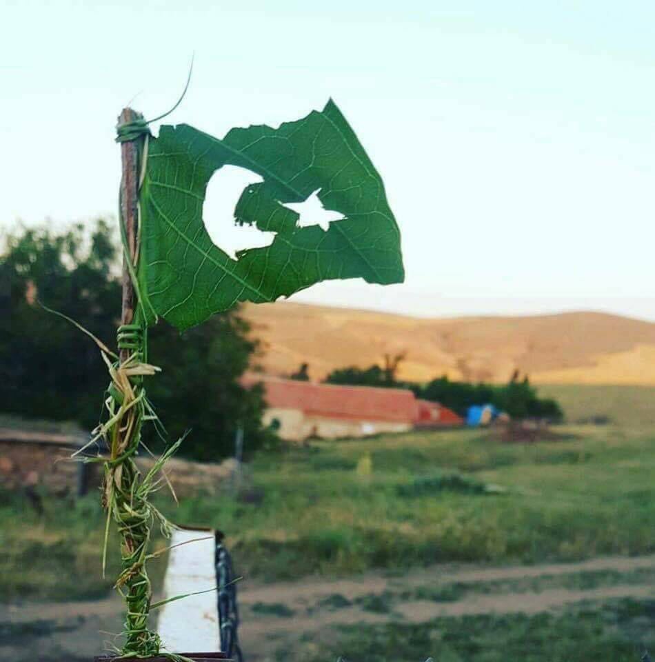 Türk Bitti denilen yerde bile, Asma yaprağından Bayrak yapar.
Ne Türk ölür, ne de Türklük ölür🐺