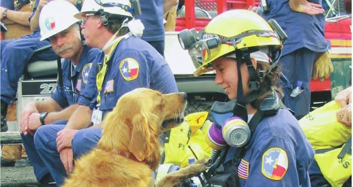 GoldenWoofs's tweet photo. We will #NeverForget the search and rescue dogs of 911 #herodogs especially #goldenretriever Bretagne https://t.co/rxmsnywNR6 https://t.co/F0aB24OA8F