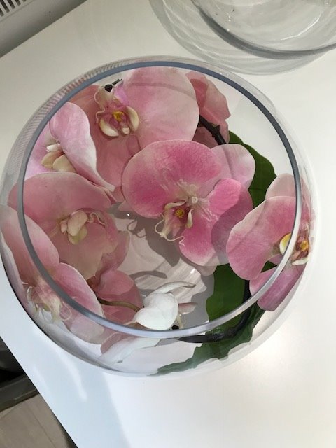 indelibles4you's tweet photo. Classic pink orchids for clients table tops https://t.co/DDTvzy0jMf