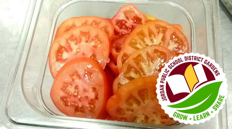ISD717's tweet photo. Serving student grown tomatoes from the #JHSgarden today. #fresh #learnbydoing #SHIPgrant @mnhealth https://t.co/Vg63ss3UJv