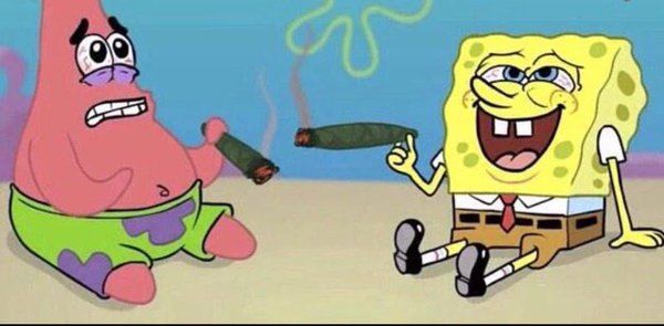 GeniusPothead's tweet image. Getting your homie high for the first time like...