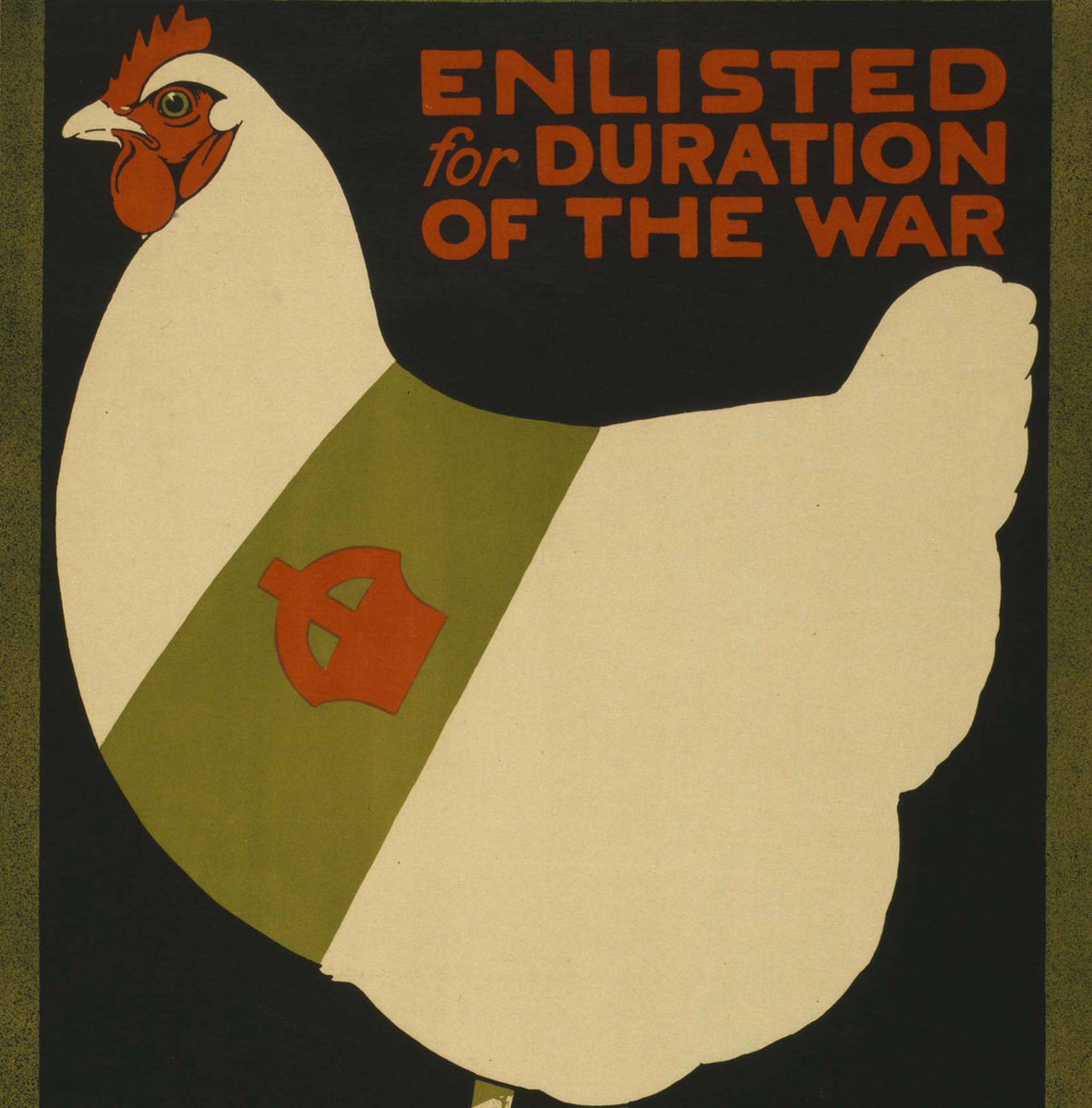 CenturyIRL's tweet photo. Midleton lady gets a letter in 1915 from soldier in Gallipoli thanking her for eggs she donated to the war effort https://t.co/McZpgZkLHV https://t.co/aLuXEO2wkS