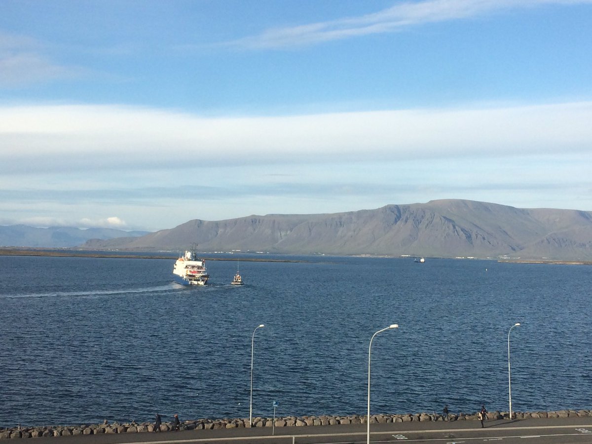 Manu_FAO's tweet photo. Can you beat a run along Reykjavik's seafront after day one of the @WSC_2017? Work hard, party hard @FAOfish https://t.co/dtxCYkRzlk
