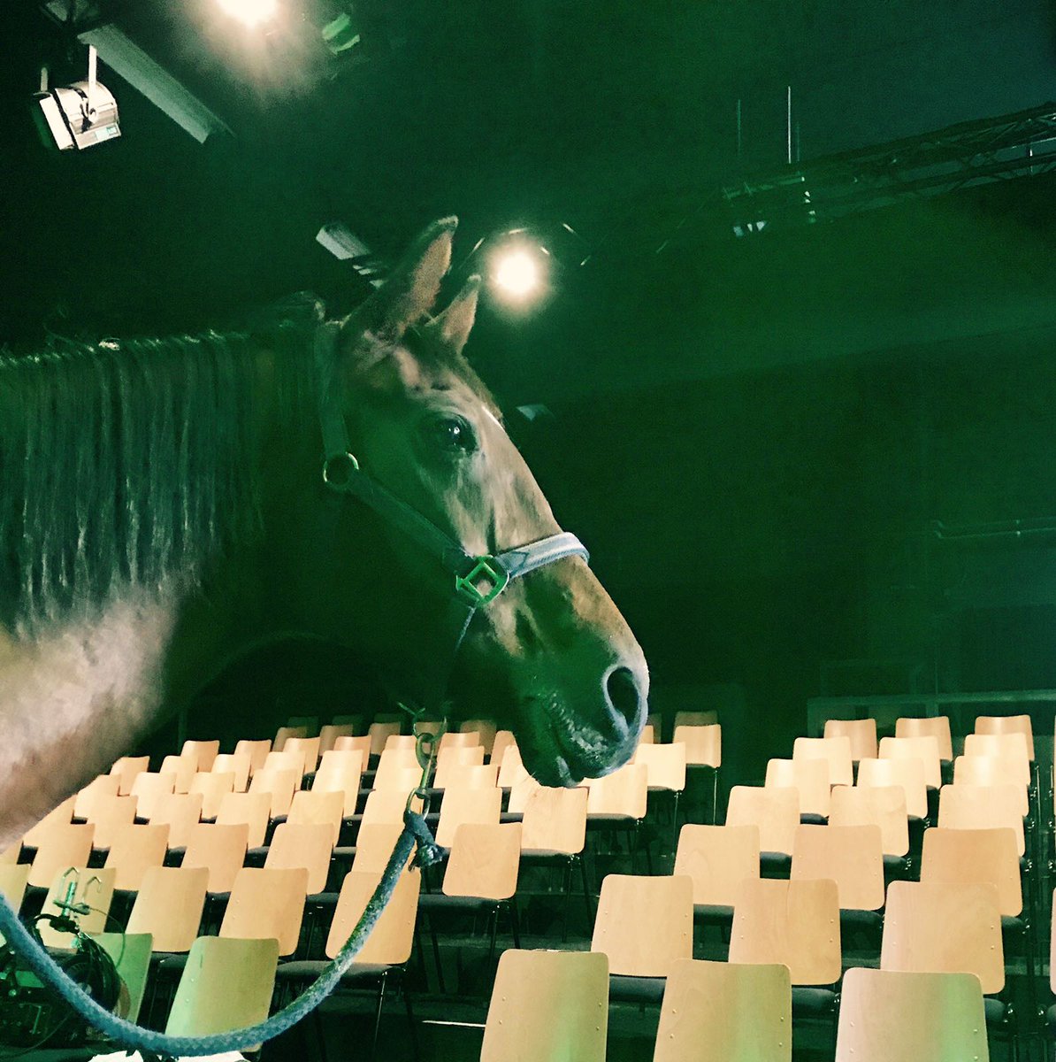 Photoshop of staat ze echt in de Theaterloods? Laat ons weten wat jij denkt. #TEDx055 #detheaterloods #29september