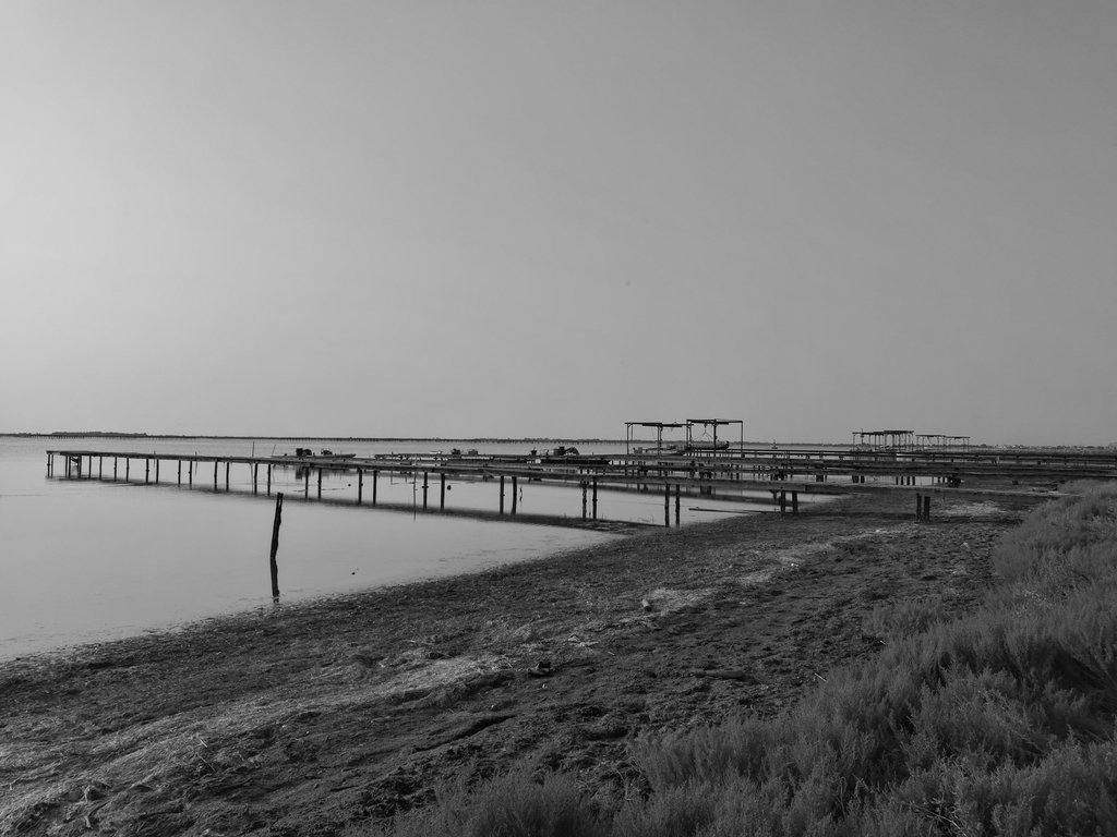 tikehau_pf's tweet photo. L' étang de #Thau depuis les mas conchylicoles de #Marseillan en Noir &amp; Blanc. 
#MagnifiqueFrance #ThauAgglo #PhotoduJour #ILoveFrance https://t.co/uI98SbFoon