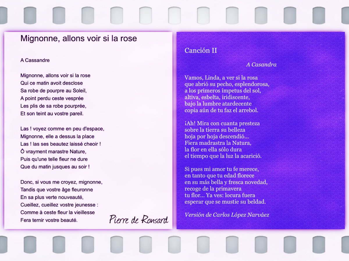 Mignonne Allons Voir Si La Rose Analyse Pdf